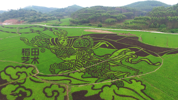 稻田风景画 稻田风景画