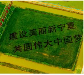 艺术画