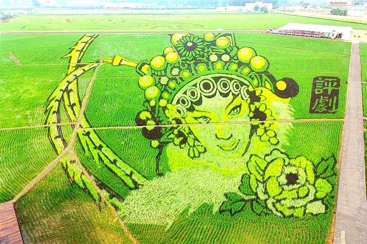 稻田风景画 稻田风景画