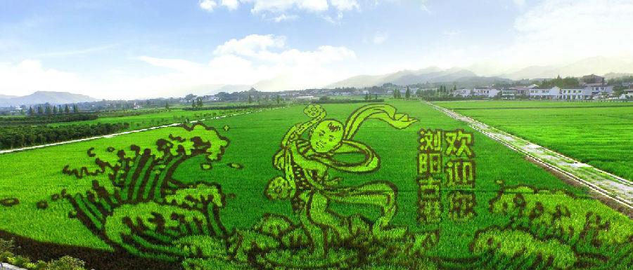 稻田风景画